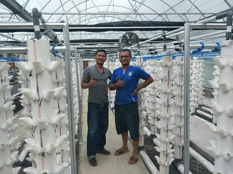 Proyek Greenhouse Jababeka 2017