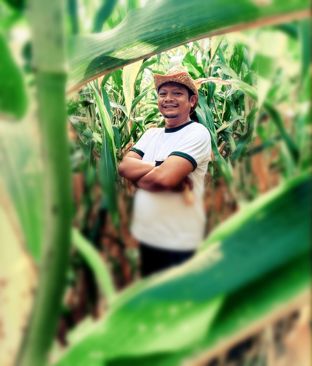 CEO Maharaja Mahmud Maghribi Shandi Prasetya ST di dalam greenhouse