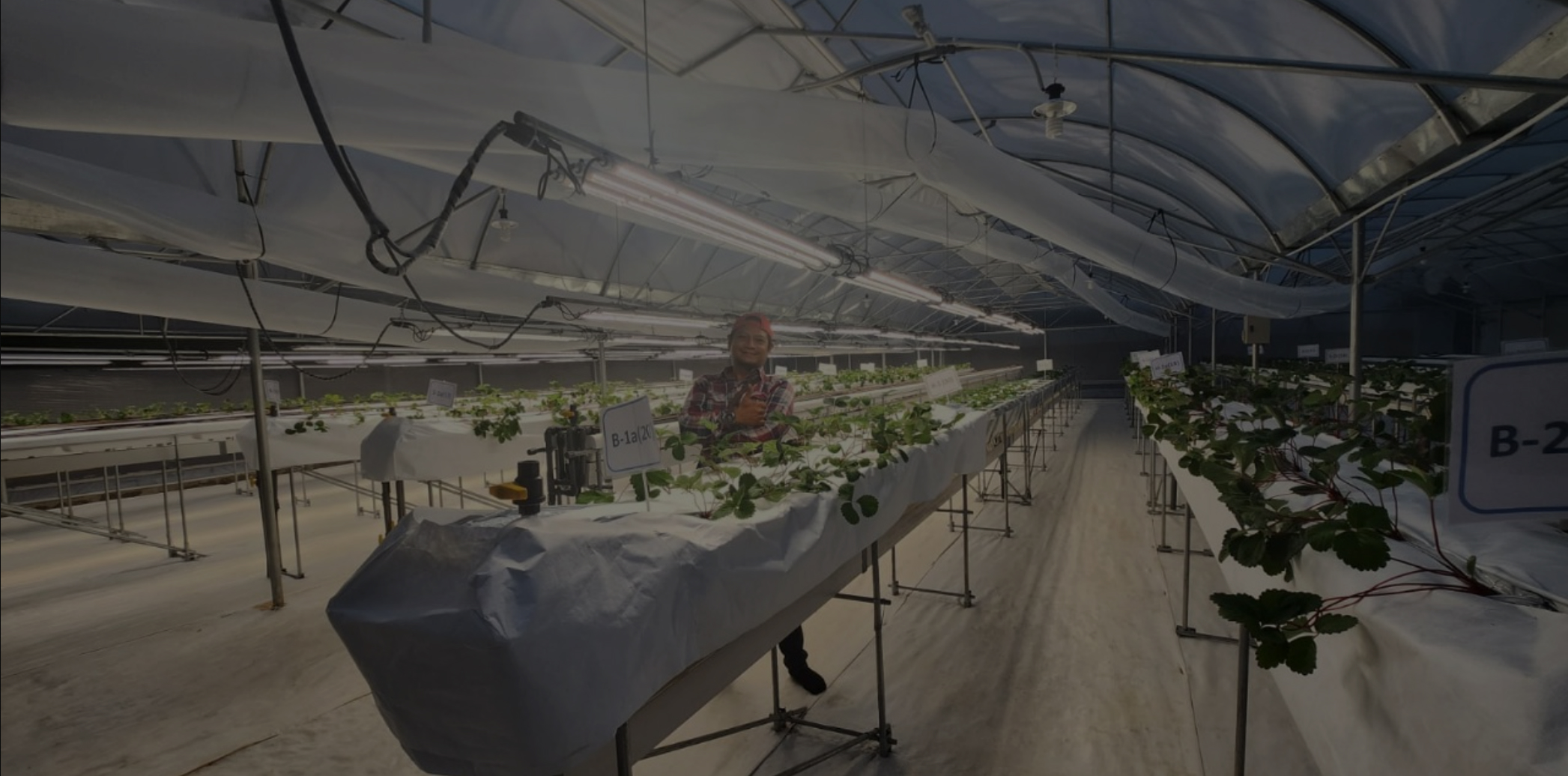 Tim Maharaja Mahmud Maghribi berdiskusi